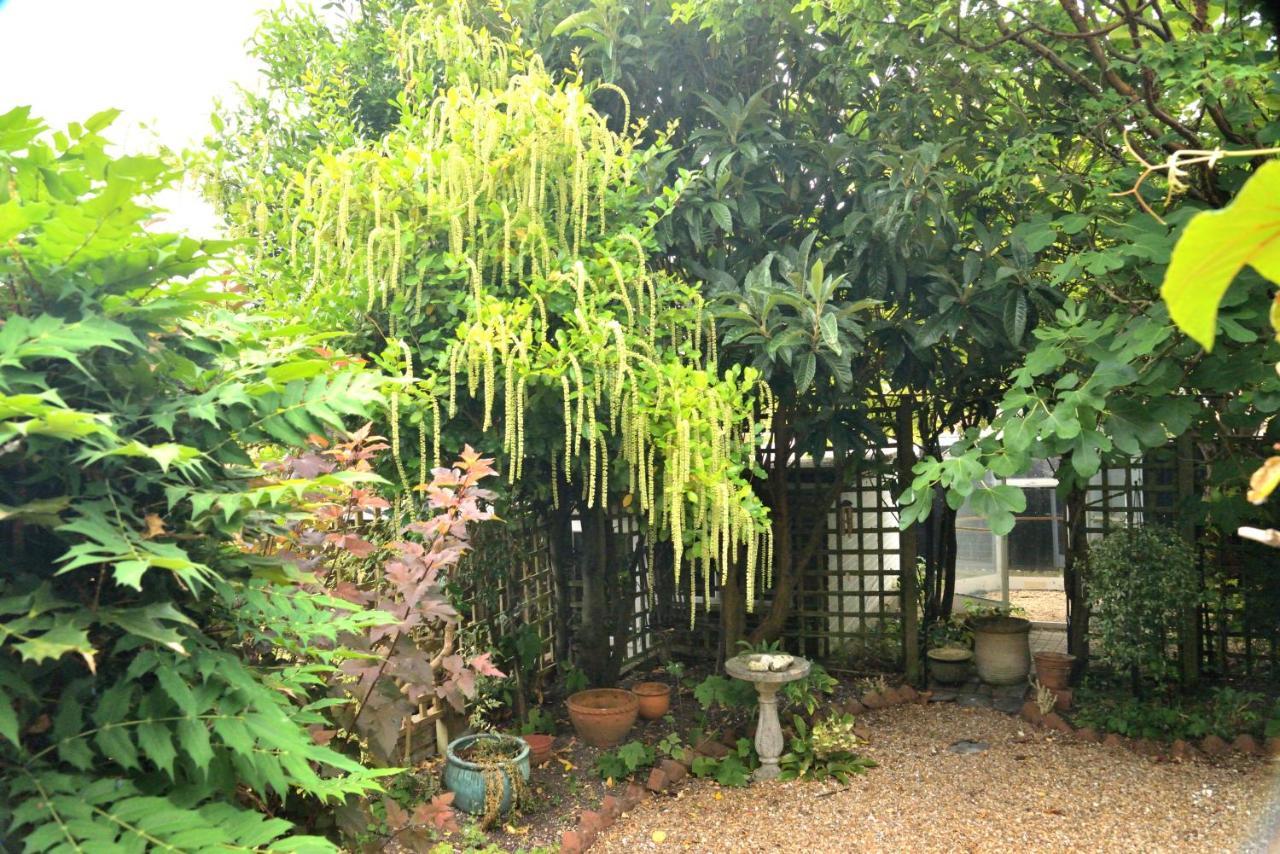Cosy House, A Train Spotter'S Delight! Villa New Alresford Exterior foto